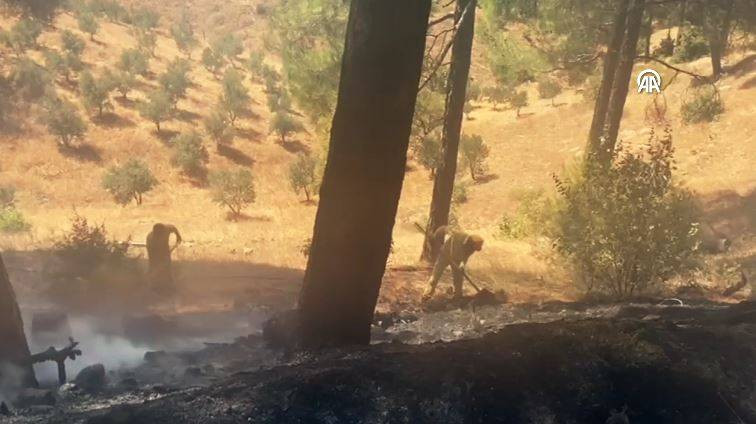 Kahramanmaraş'ta orman yangını - Resim: 1